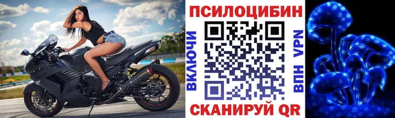 Псилоцибиновые грибы GOLDEN TEACHER  где купить наркоту  Михайловск 