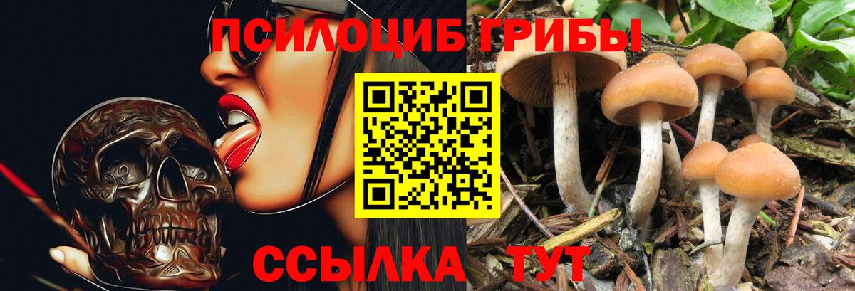 даркнет сайт  Вход с VPN  Псилоцибиновые грибы Psilocybine cubensis  Михайловск  Галлюциногенные грибы MAGIC MUSHROOMS 