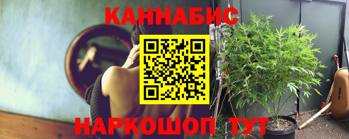 МАРИХУАНА THC 21%  МАРИХУАНА тримм  Михайловск  Шишки марихуана LSD WEED  Вход с VPN 